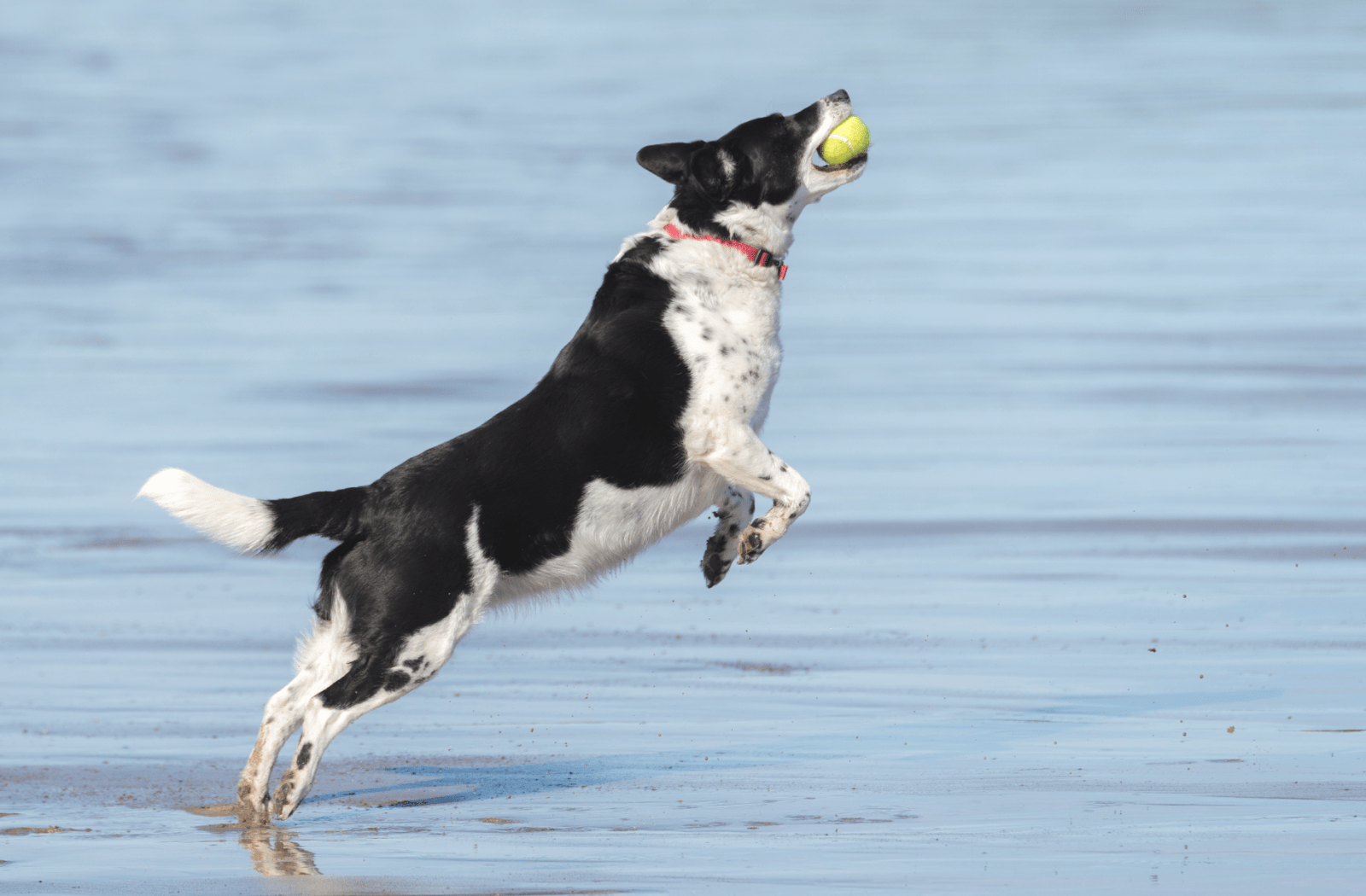 beach play