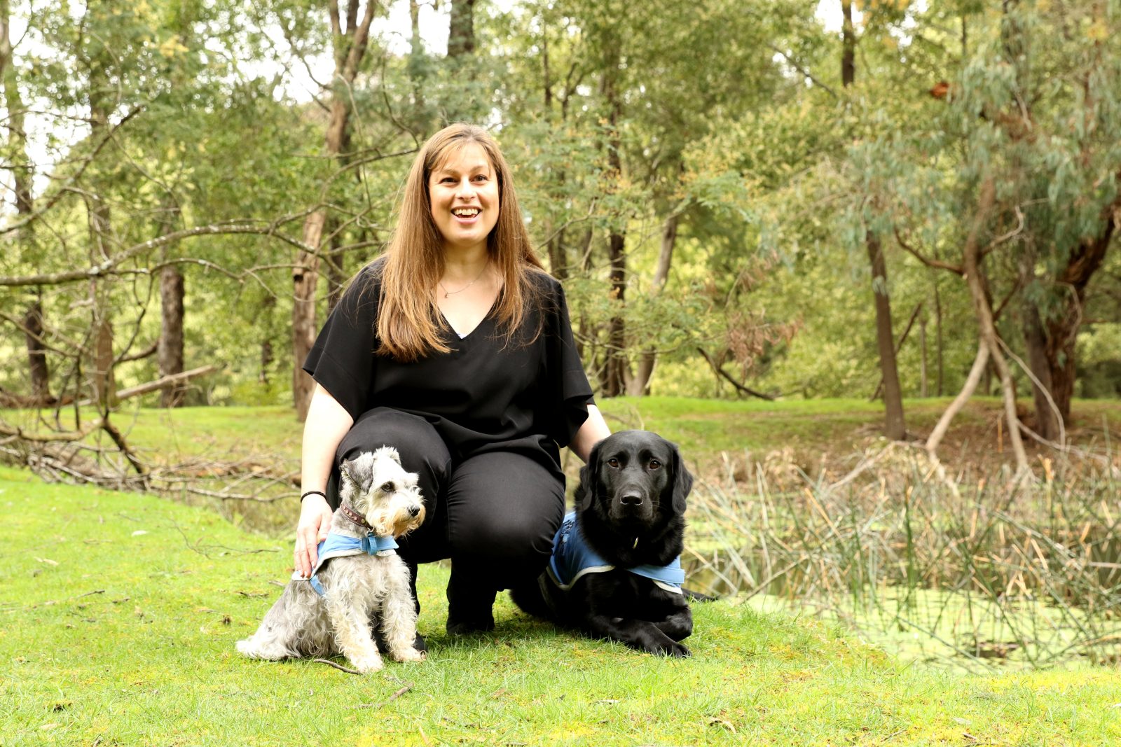 Lead The Way Therapy School Dog in class